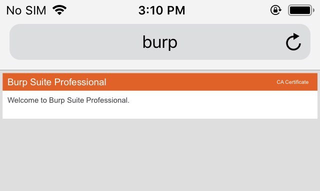 1778242993-1724395972_932_Langkah-Langkah-Penetration-Test-pada-Aplikasi-dengan-Mengintegrasi-Burp-Suite-ke.jpg